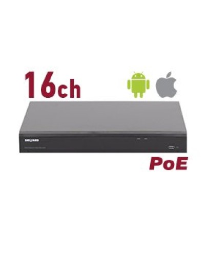 RK2216-P. Видеорегистратор IP 16-канальный. Beward в Щелково