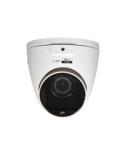 CO-RD23P. Видеокамера IP купольная. ComOnyx в Щелково
