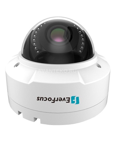 EHN-1250. Видеокамера IP купольная. EverFocus в Щелково