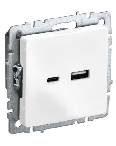 Розетка USB A+C 18Вт РЮ11-1-БрБ белый BRITE (BR-U22-018-K01). Розетка USB. IEK в Щелково