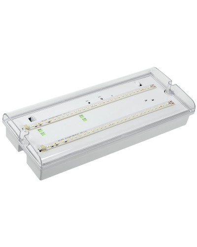 Светильник аварийный ДПА 5042-1 1ч IP65 LIGHTING (LDPA0-5042-1-65-K01). Светильник аварийный универсальный. IEK в Щелково