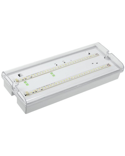 Светильник аварийный ДПА 5042-3 3ч IP65 LIGHTING (LDPA0-5042-3-65-K01). Светильник аварийный универсальный. IEK в Щелково