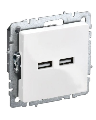 Розетка USB A+A 3,1А РЮ10-1-БрБ белый BRITE (BR-U21-D31-K01). Розетка USB. IEK в Щелково