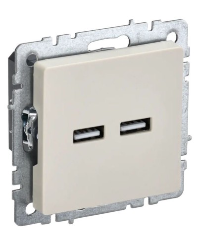 Розетка USB A+A 3,1А РЮ10-1-БрКр бежевый BRITE (BR-U21-D31-K10). Розетка USB. IEK в Щелково
