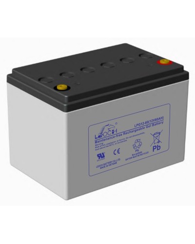 LEOCH LPG 12-60. Аккумулятор герметичный свинцово-кислотный. LEOCH в Щелково
