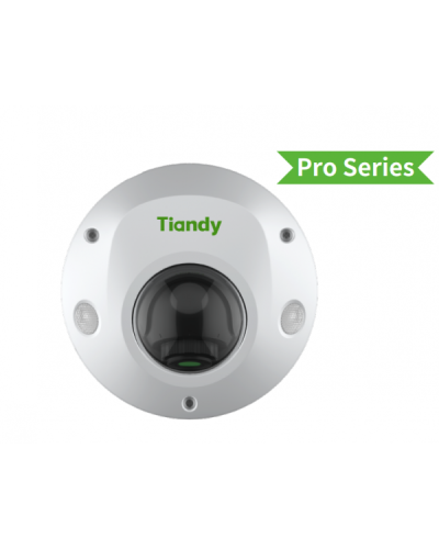TC-C35PS I3/E/Y/M/H/2.8/V4.2. Видеокамера IP купольная. Tiandy в Щелково