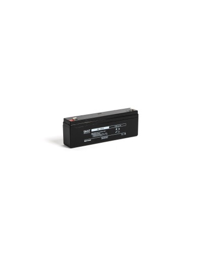 SKAT SB 12022 (2539). Аккумулятор герметичный свинцово-кислотный. Бастион в Щелково