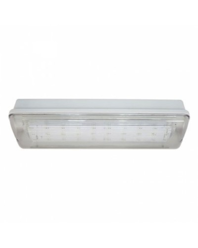 SL-213-30LED1.8 исп. 1 IP65. Светильник аварийного освещения. ИП Раченков А.В. в Щелково