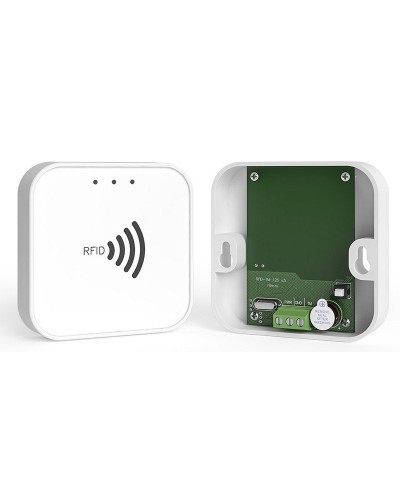 RFID-TM. Считыватель RFID. Ритм в Щелково
