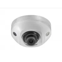 DS-2CD2543G2-IS(2.8мм). Профессиональная видеокамера IP купольная. Hikvision