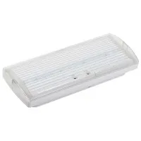 Светильник аварийный ДПА 5032-3 10-24/220В 3ч IP20 LIGHTING (LDPA1-5030-3-20-K01). Светильник аварийный постоянного действия. IEK