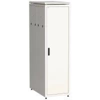 LN35-42U61-M. Шкаф телекоммуникационный 19 напольный 42U. ITK