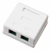 Розетка компьютерная внешняя, 2-порта RJ-45 (8P8C), UTP CAT 6 REXANT (03-0136): Розетка RJ-45