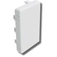 Заглушка 120х40 LAN (00876): Заглушка для короба