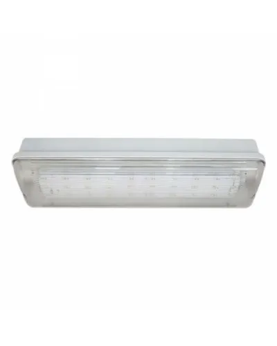 SL-213-30LED1.8 исп.1 IP54. Светильник аварийного освещения. ИП Раченков А.В. в Щелково