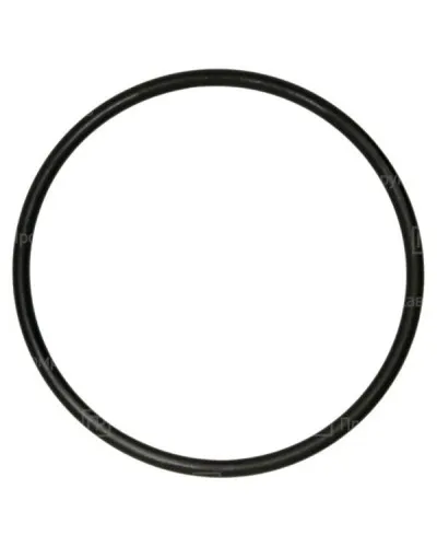 Кольцо резиновое уплотнительное для двустенной трубы D110 (PR08.3159). Кольцо резиновое уплотнительное для двустенной трубы. Промрукав в Щелково